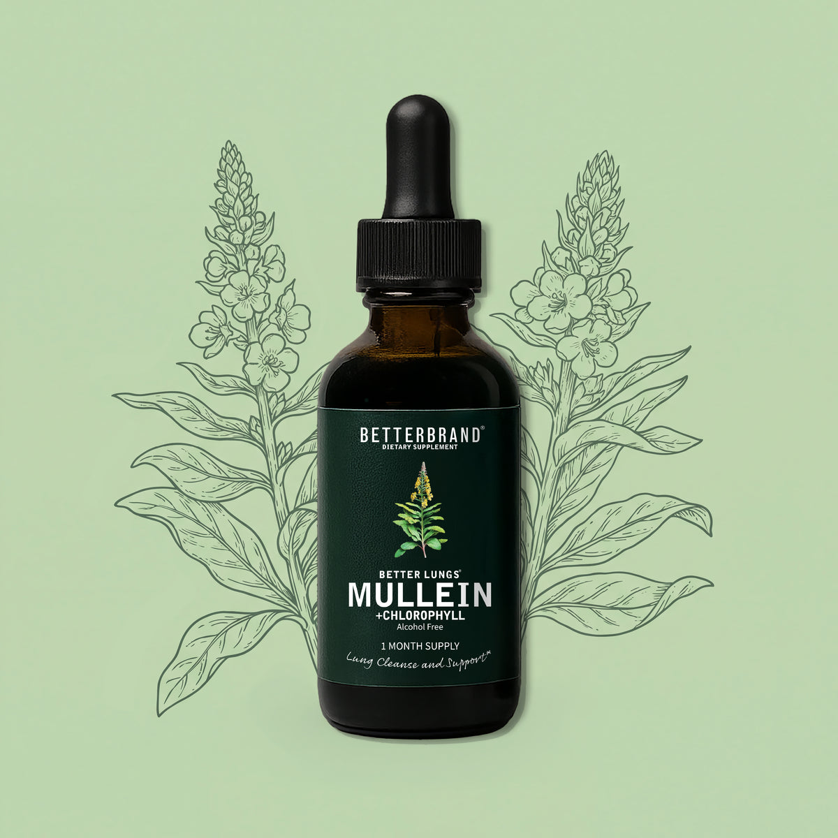 BetterLungs Mullein + Chlorophyll