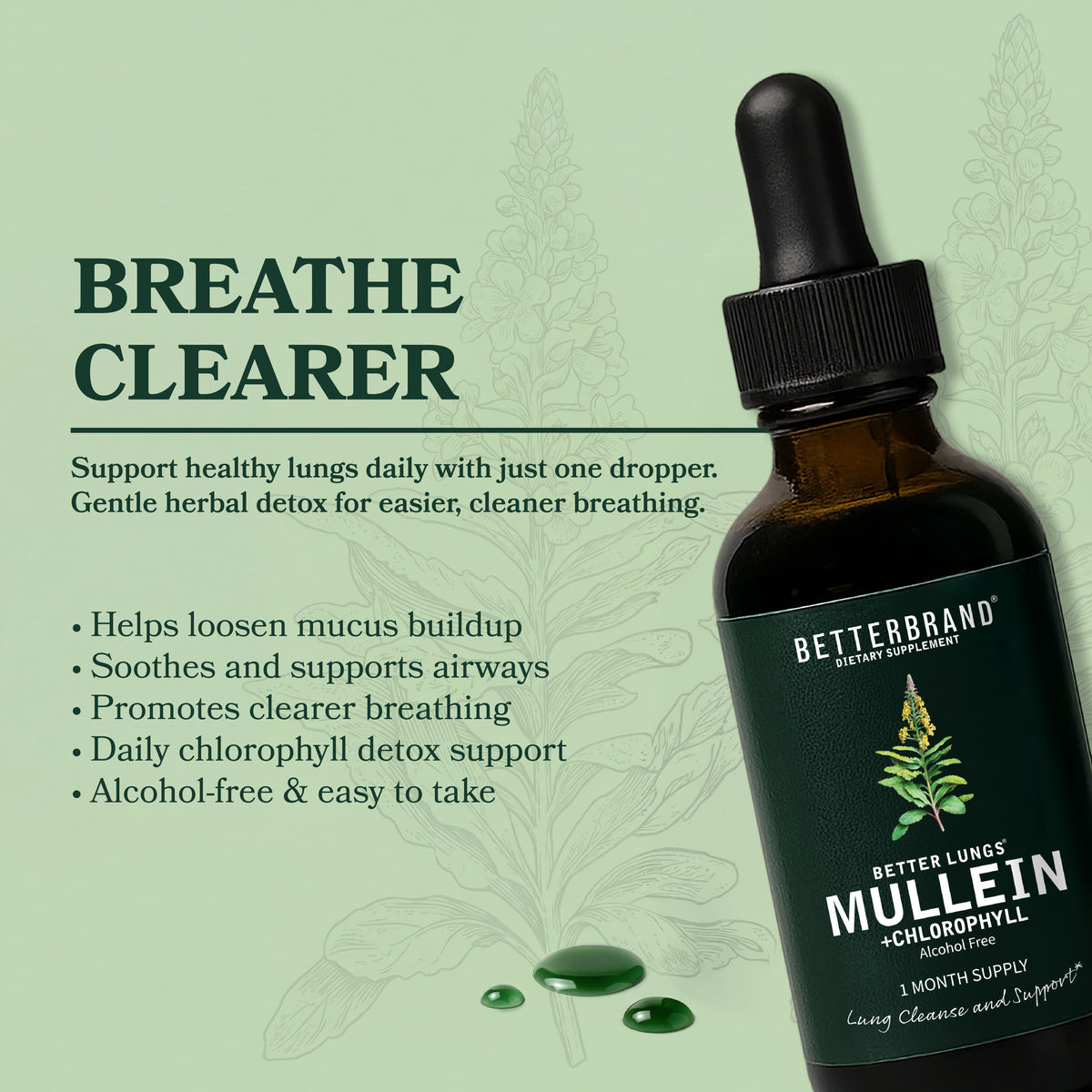 BetterLungs Mullein + Chlorophyll
